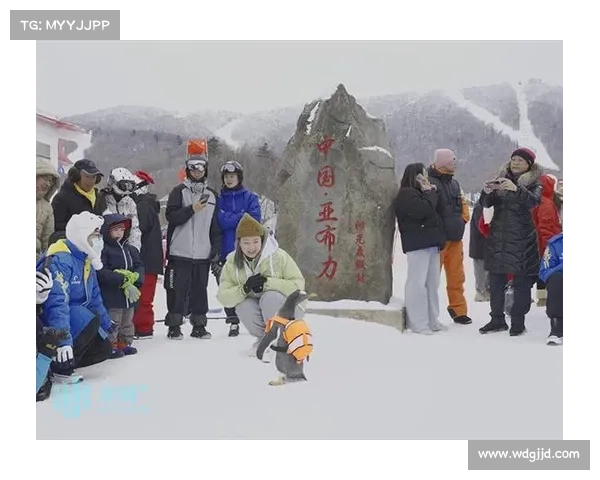 2018中国亚布力滑雪赛事盛大开幕冰雪激情巅峰对决精彩纷呈 2018中国亚布力滑雪赛事盛大开幕冰雪激情巅峰对决精彩纷呈