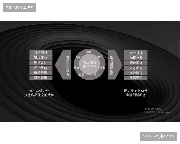 赛事 生态链,什么叫生态链平台 赛事 生态链,什么叫生态链平台