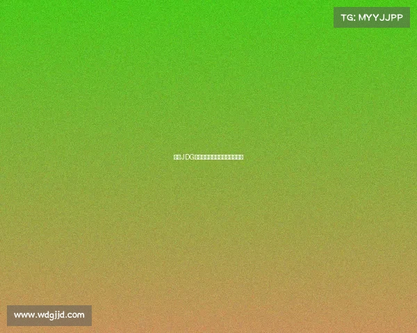 京东JDG新征程启航，电竞豪强再书新篇